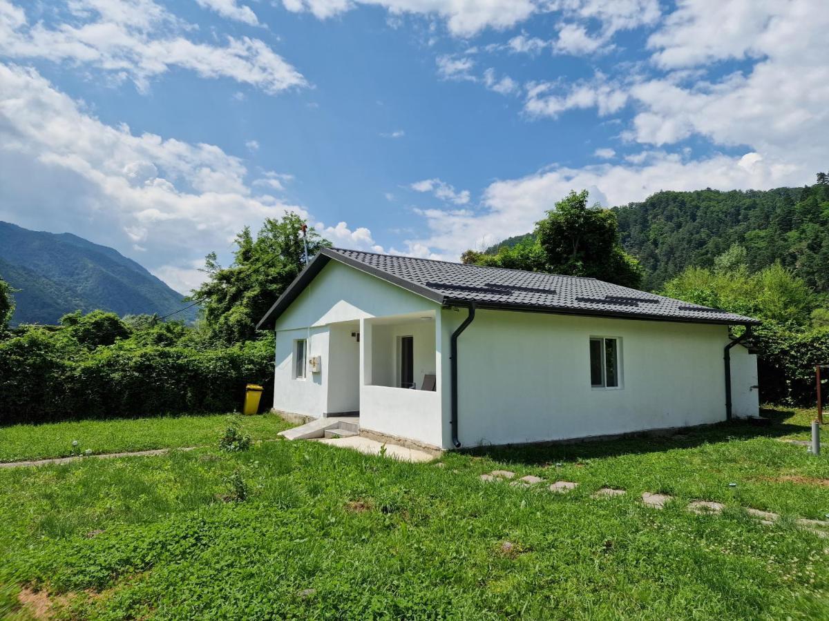 Green Nest Brezoi Exterior foto